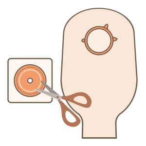 Sistema di raccolta e un paio di forbici 