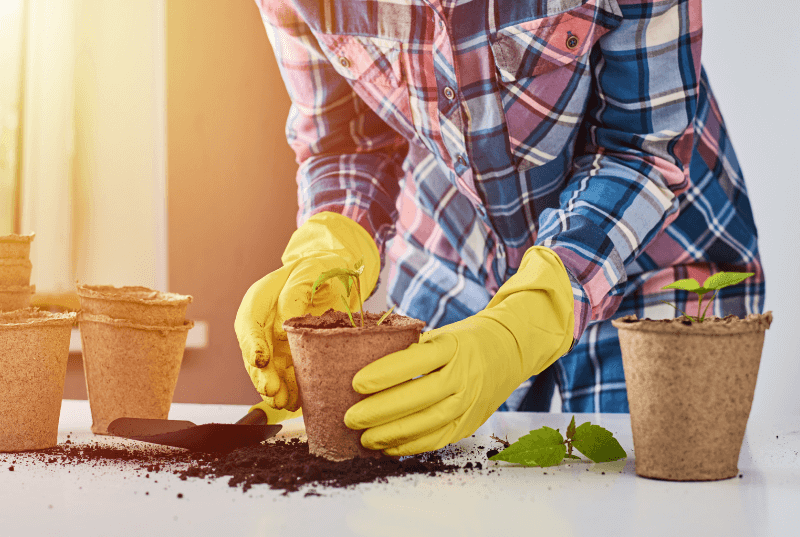 Untitled design (16)